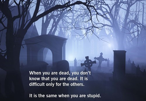 it_is_the_same_when_you_are_stupid