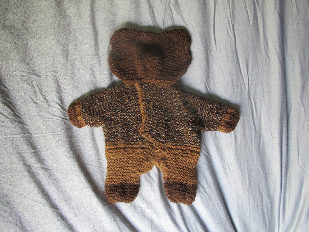 Teddy Bear Front