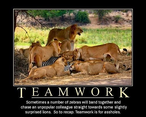 Teamwork Is For Assholes